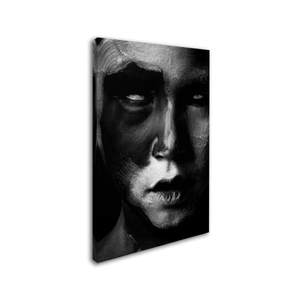 Tim Munnig 'Dark' Canvas Art,12x19